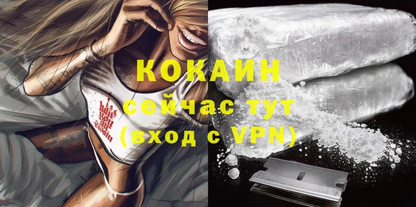 ALPHA PVP Новодвинск