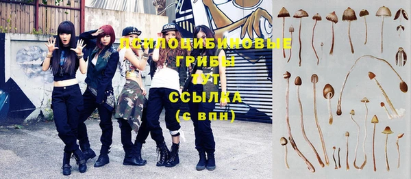 ALPHA PVP Новодвинск