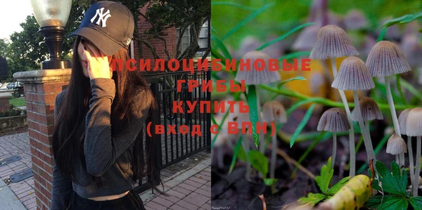 ALPHA PVP Новодвинск