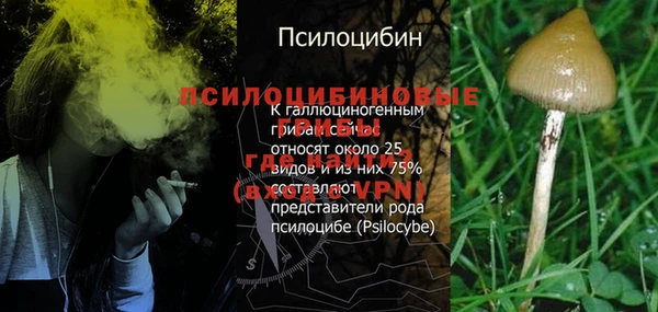 ALPHA PVP Новодвинск