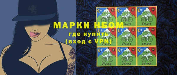 прущие грибы Слюдянка
