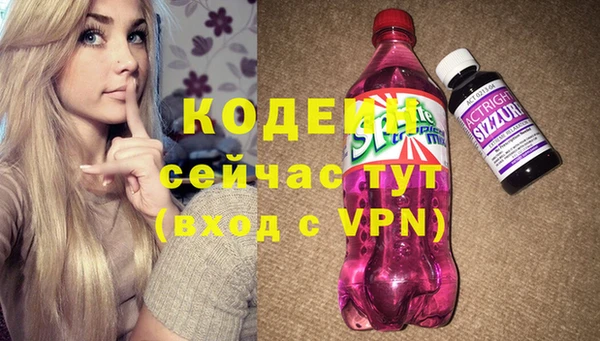 крисы Бородино