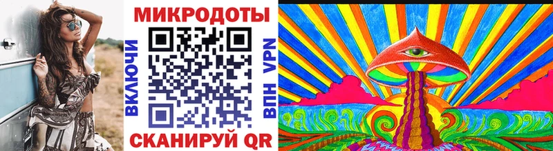 закладка  Калининград  Псилоцибиновые грибы ЛСД 