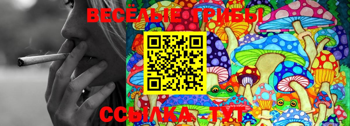 Псилоцибиновые грибы ЛСД  Вход с VPN  Калининград 