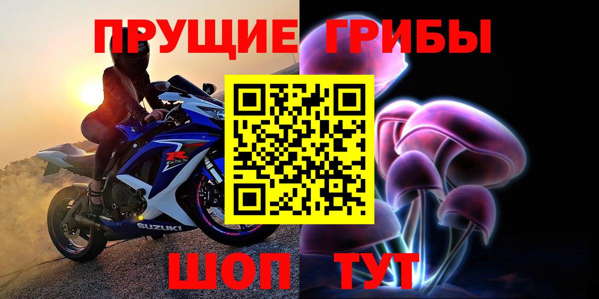Галлюциногенные грибы прущие грибы Калининград