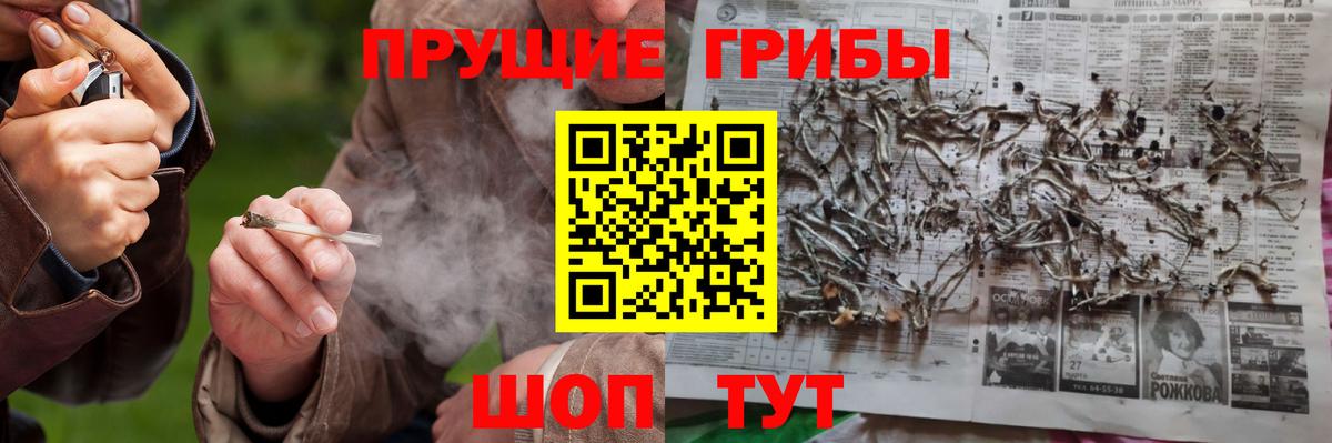 Галлюциногенные грибы прущие грибы Калининград